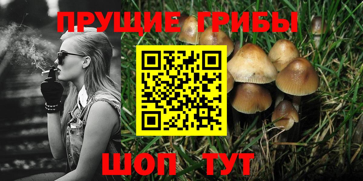 Галлюциногенные грибы прущие грибы Кудымкар
