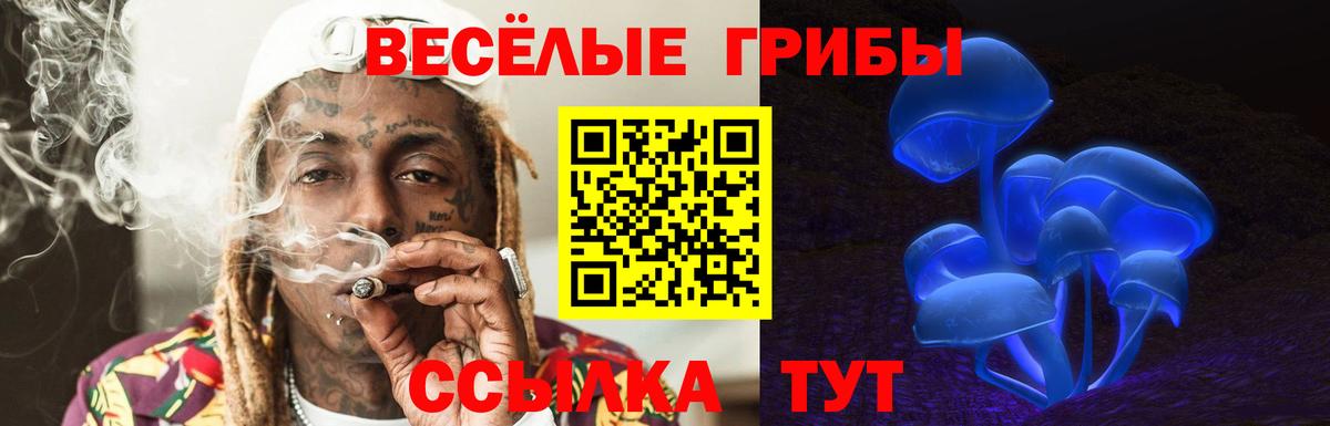 Галлюциногенные грибы Psilocybine cubensis  Вход с VPN  Кудымкар  Псилоцибиновые грибы Psilocybine cubensis 