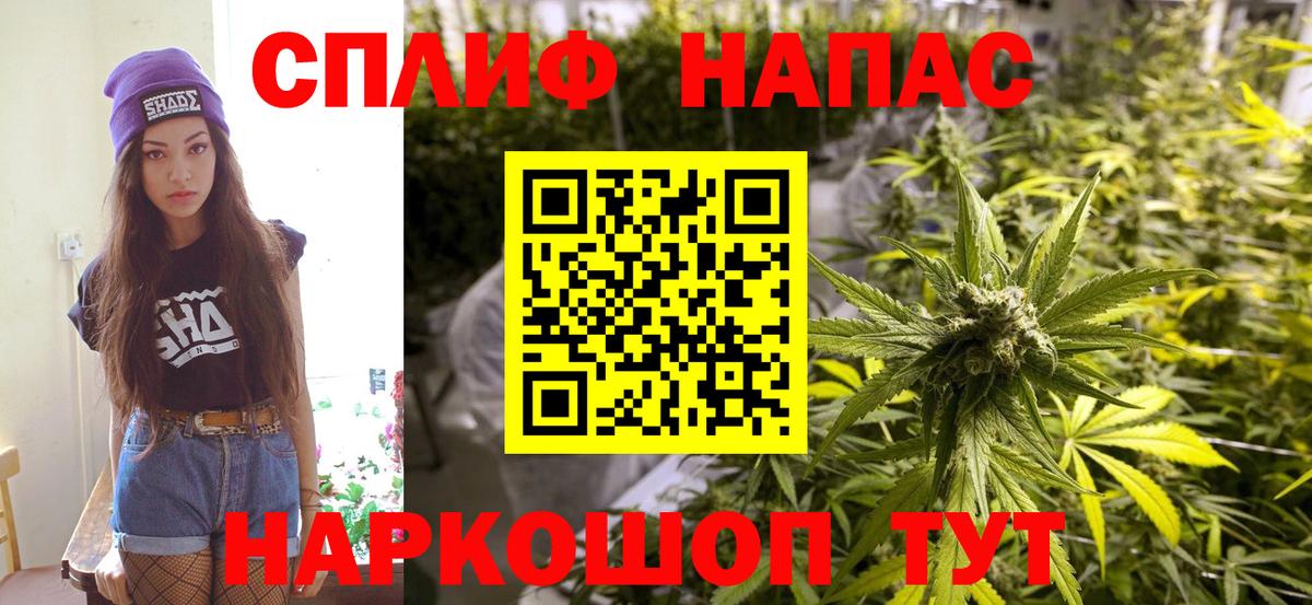 Бошки Шишки план Кудымкар